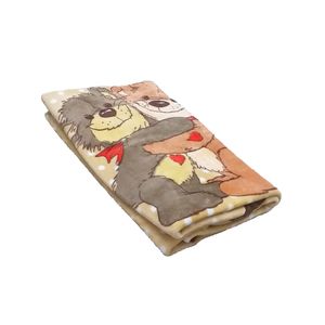 پتو کودک ایدورا طرح خرس ابعاد 140×100 سانتی متر